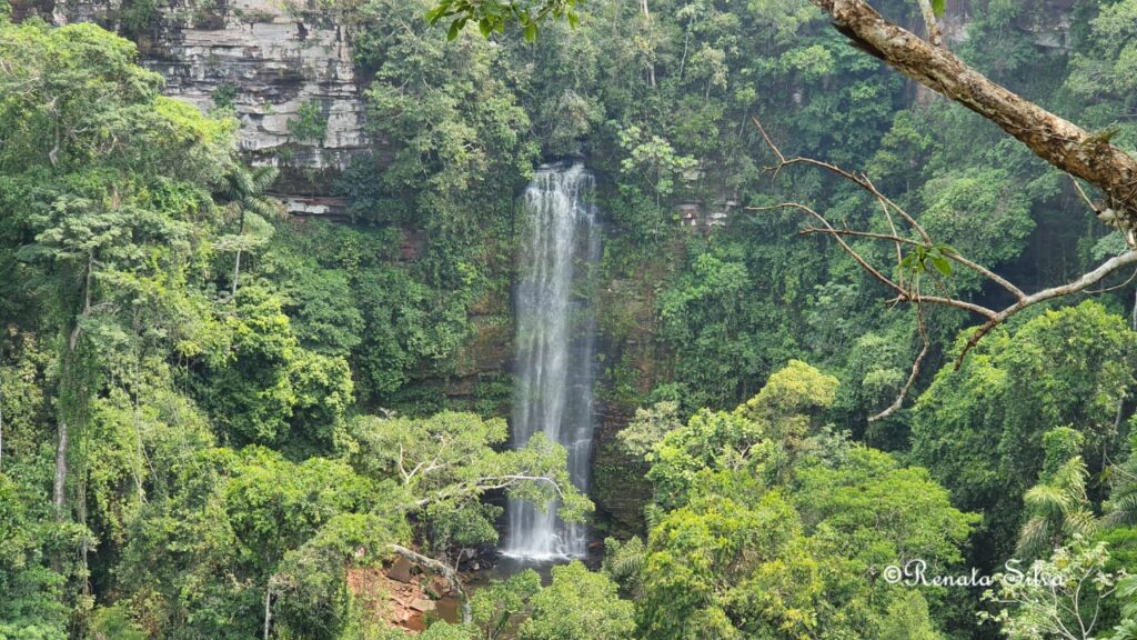 Dia do Turismo Ecológico: governo de RO celebra data e apresenta belezas naturais como destino no Carnaval 2025