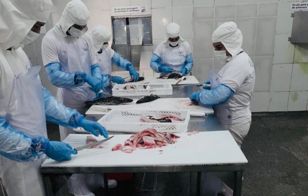 Rondônia se destaca com crescimento econômico no comércio, indústrias e agronegócio