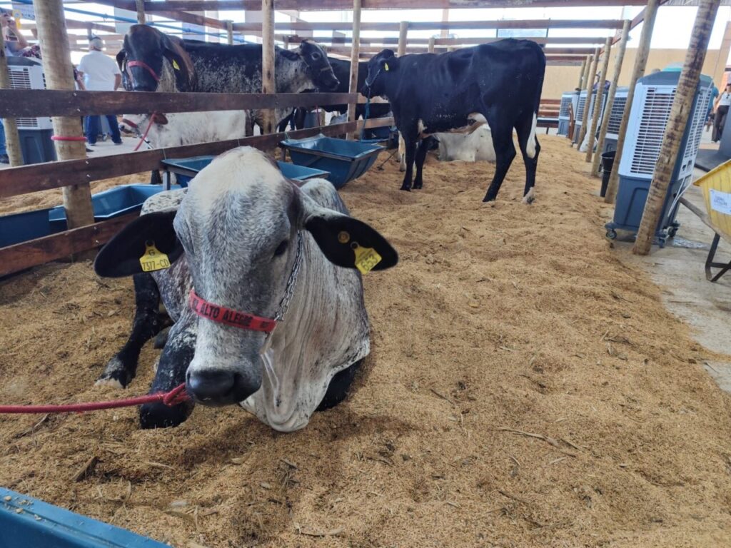 Força-tarefa reforça ações de fiscalização e educação sanitária na 12ª Rondônia Rural Show