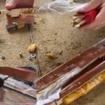 Polícia Federal apreende mais de 6 kg de cocaína escondidos em cadeiras na BR-364